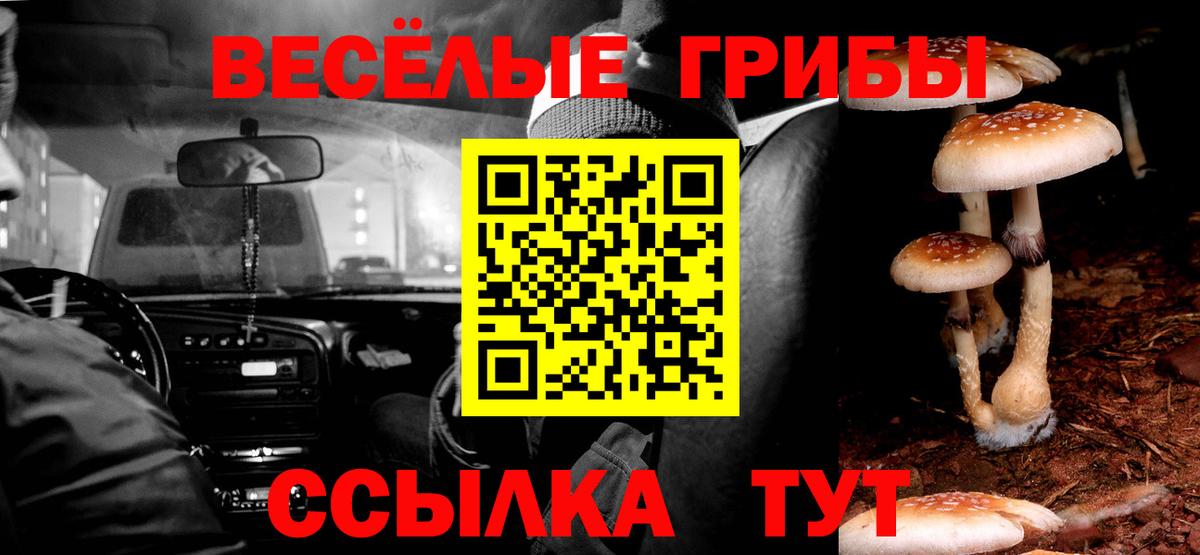 Галлюциногенные грибы Psilocybe Биробиджан