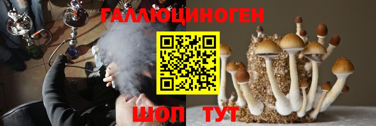 Галлюциногенные грибы Psilocybine cubensis  Галлюциногенные грибы Cubensis  Вход с VPN  Биробиджан 