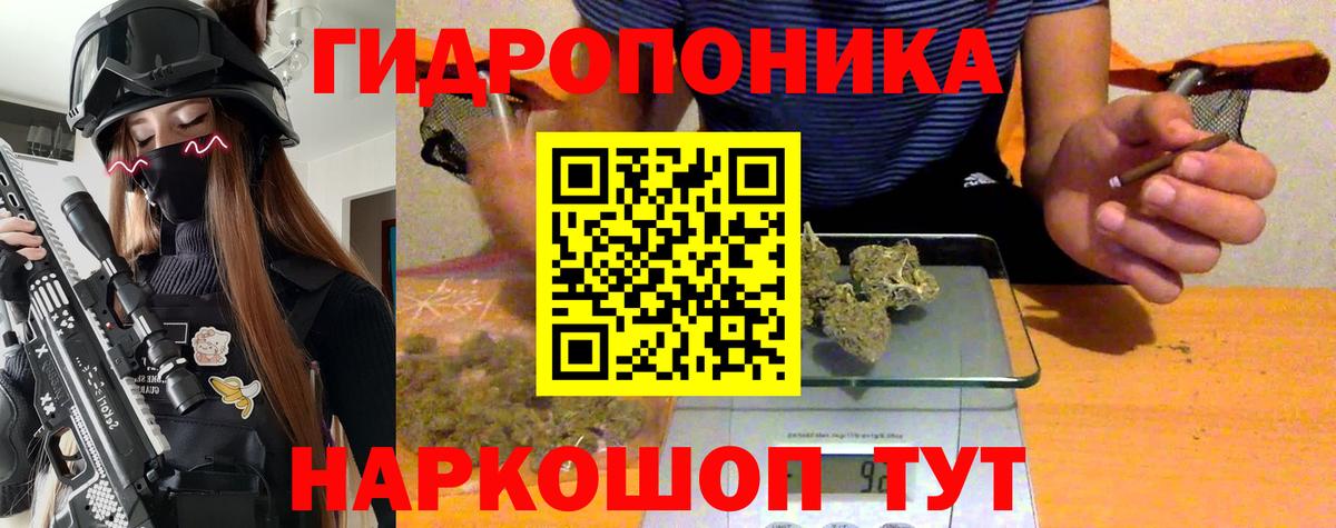 Бошки марихуана THC 21%  Шишки марихуана THC 21%  Биробиджан  Шишки марихуана сатива  Вход с VPN 